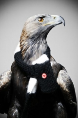 attila001