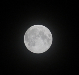 mond