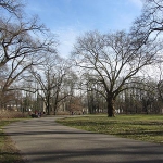 06.jpg
