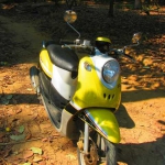 rps20150408_113236.jpg