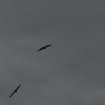 rps20150414_102209.jpg