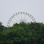 01.jpg