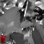 05