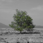 Th_05_1