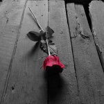 02_Auschwitz