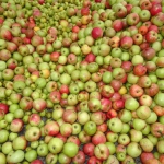 10_Äpfel