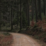 IMG_3854_w