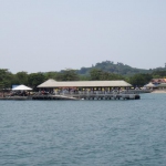 09