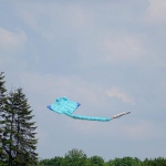 DSC00135w